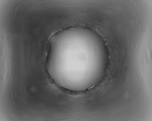 X0000116150144200911230959