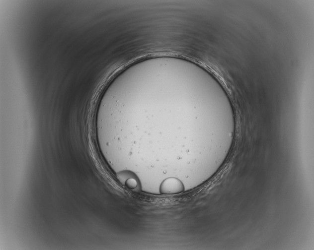 X0000116150145200911230958