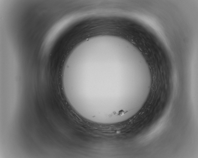 X0000116150146200911230958