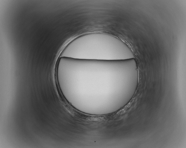 X0000116150147200911230958