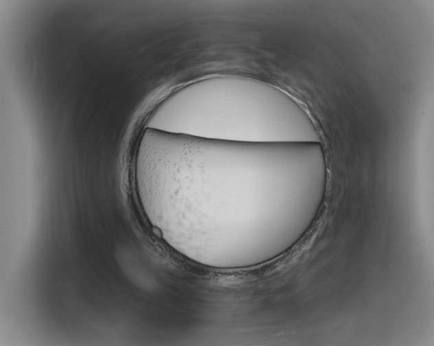 X0000116150149200911230958