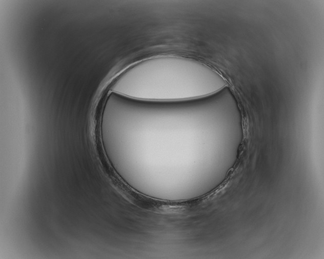 X0000116150150200911230958