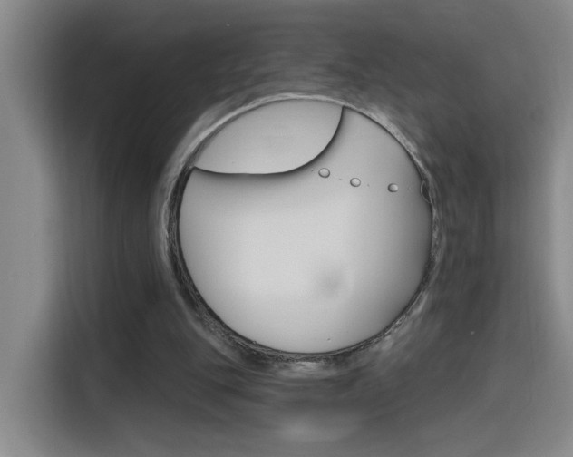 X0000116150151200911230958