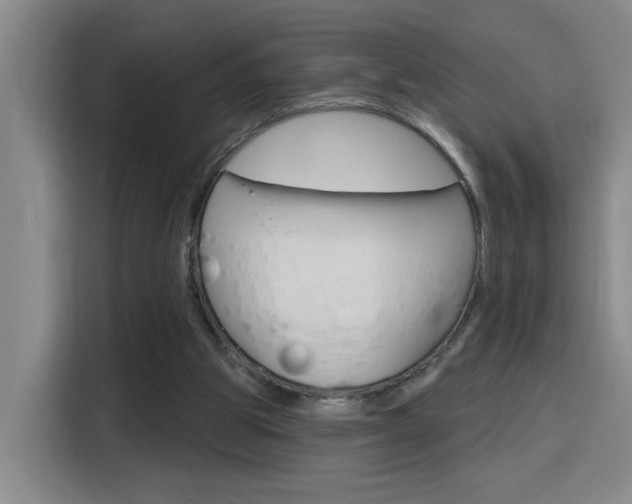 X0000116150153200911230958