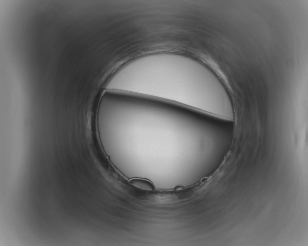 X0000116150154200911230958