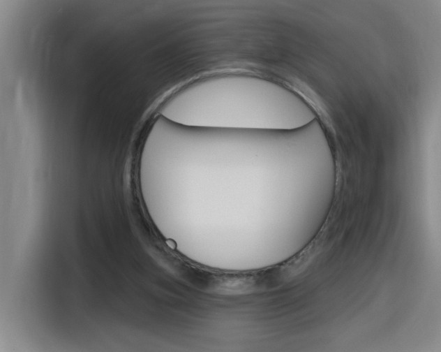 X0000116150155200911230958