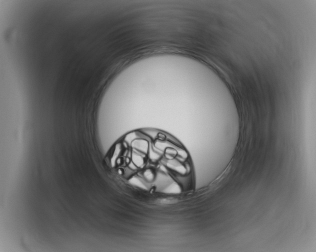 X0000116150158200911230958