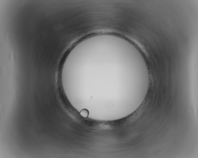 X0000116150159200911230958