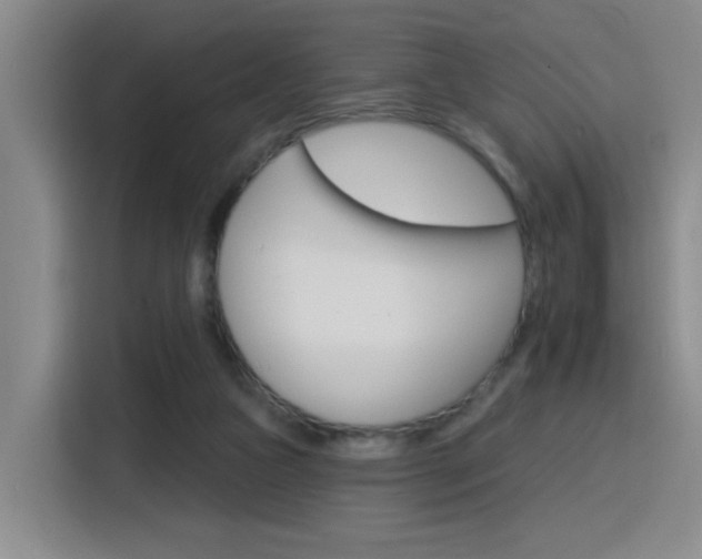 X0000116150161200911230958