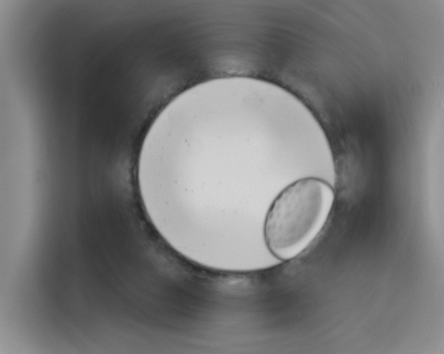 X0000116150162200911230958