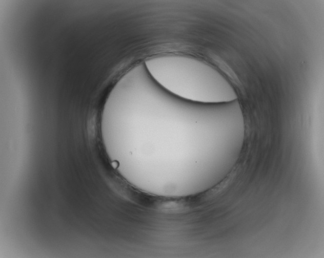 X0000116150163200911230958