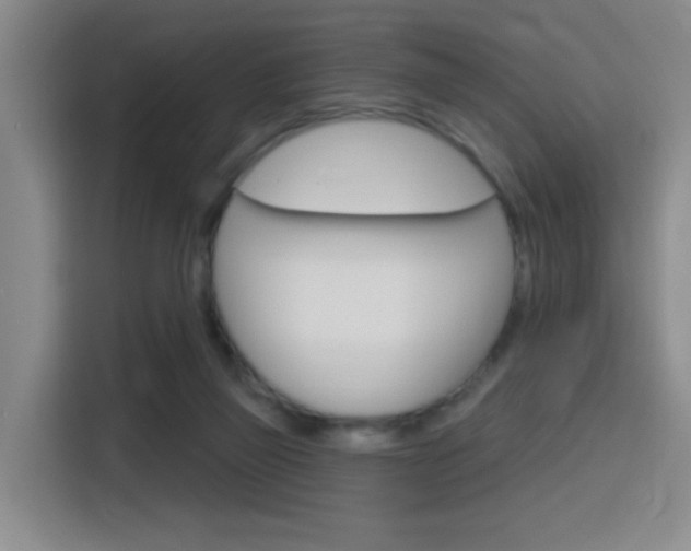 X0000116150165200911230959