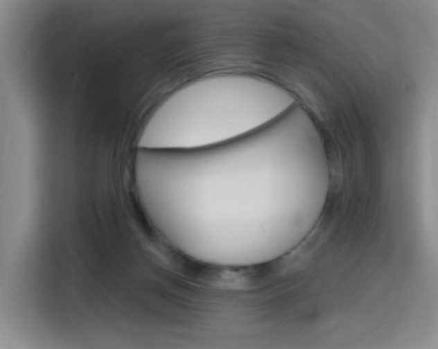 X0000116150166200911230959