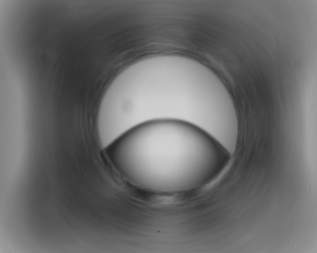 X0000116150170200911230959