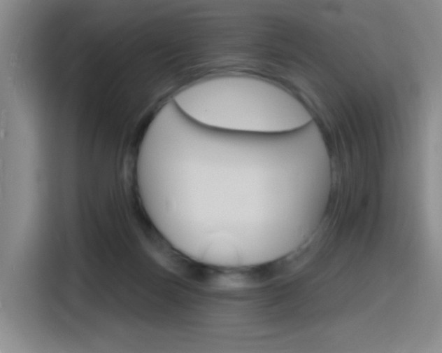 X0000116150171200911230959