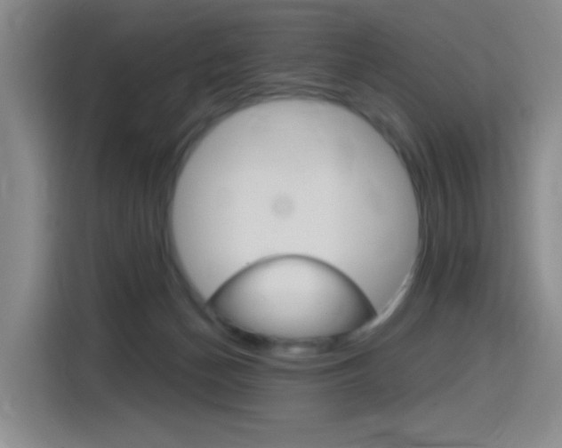 X0000116150174200911230959