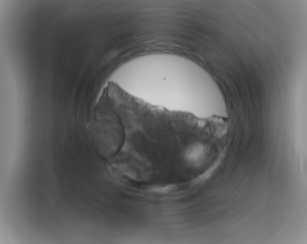 X0000116150178200911230959