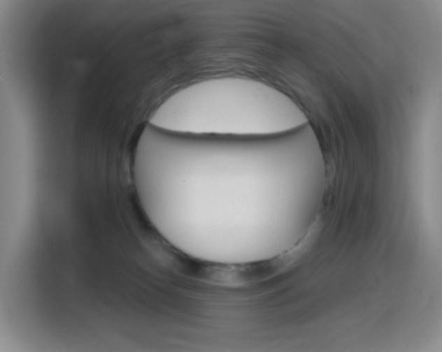 X0000116150182200911230959