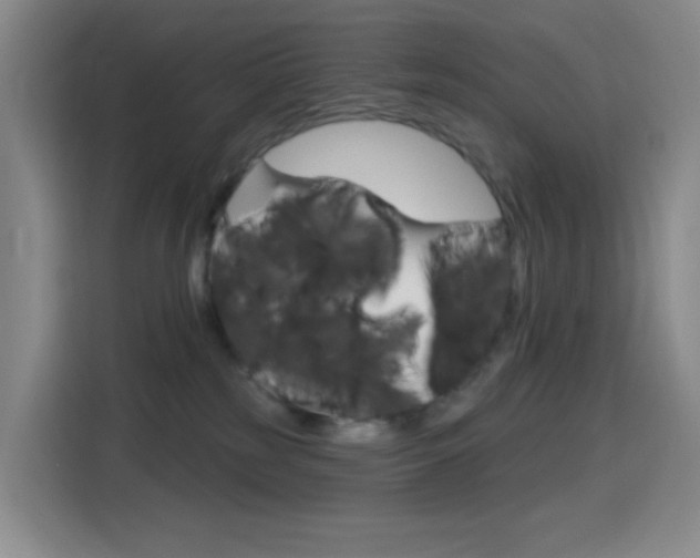 X0000116150185200911230959