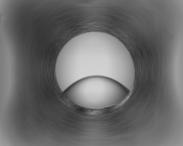 X0000116150186200911230959