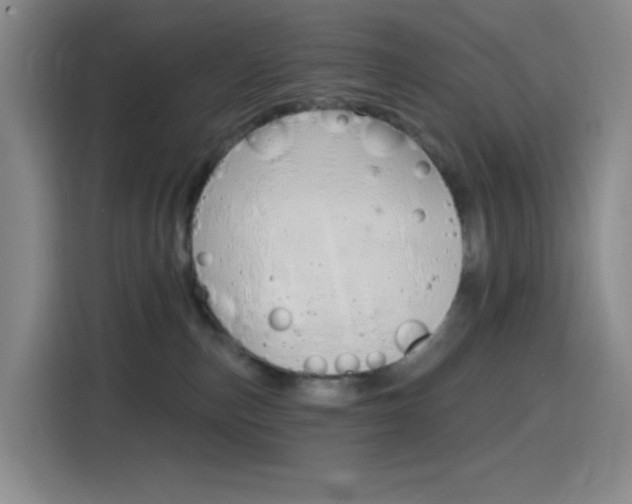 X0000116150187200911230959