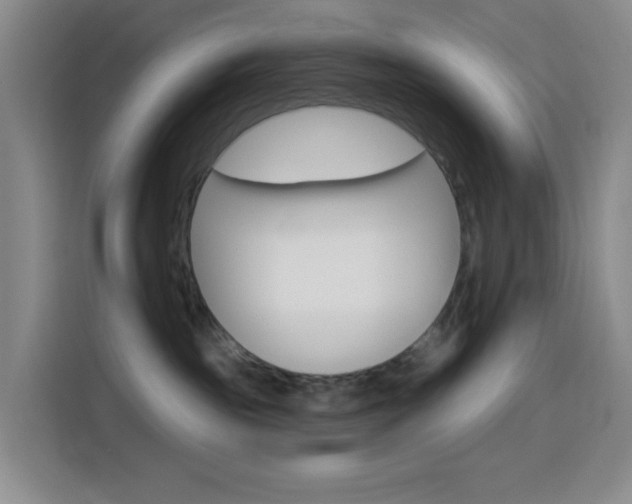 X0000116150189200911230959