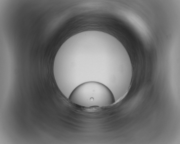 X0000116150190200911230959