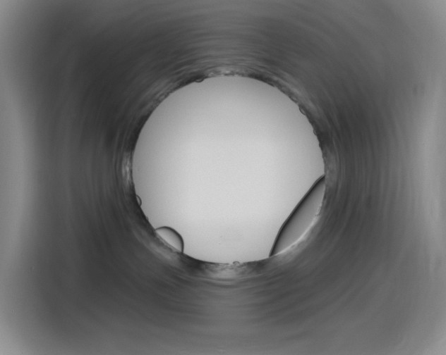 X0000116150191200911230959