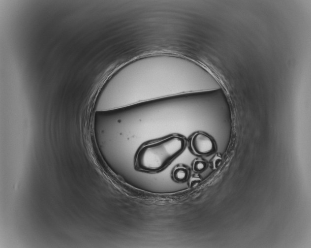 X0000116150193200911230958