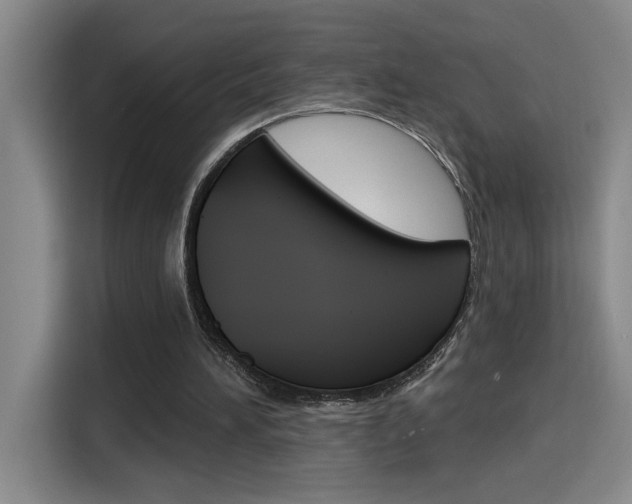 X0000116150196200911230958