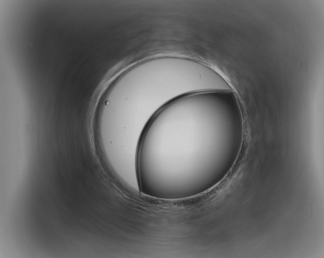 X0000116150199200911230958