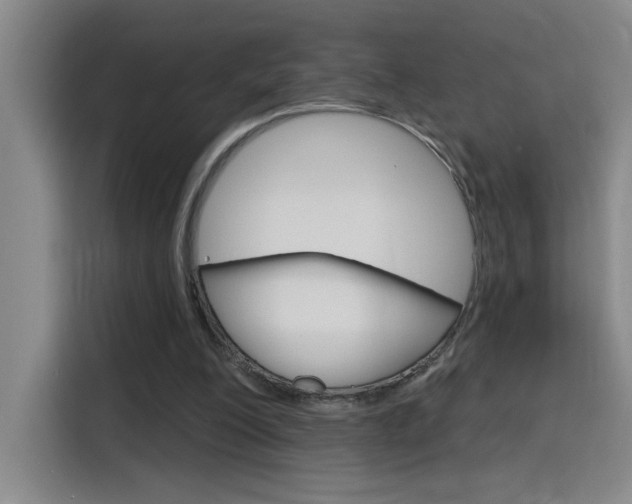 X0000116150200200911230958