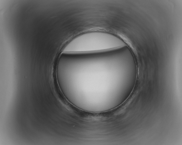 X0000116150201200911230958