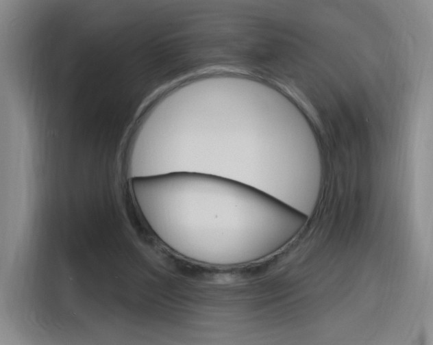 X0000116150204200911230958