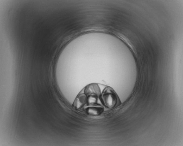 X0000116150205200911230958