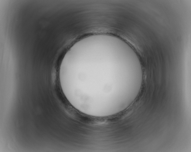 X0000116150206200911230958