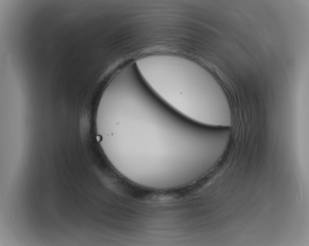 X0000116150208200911230958