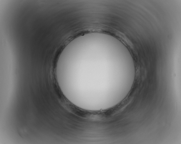 X0000116150209200911230958