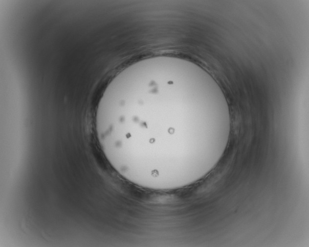 X0000116150210200911230958