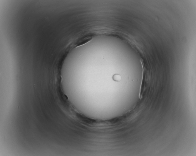 X0000116150215200911230958