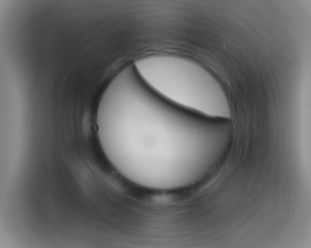 X0000116150216200911230958