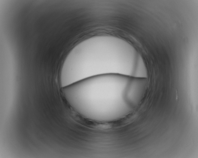 X0000116150217200911230958