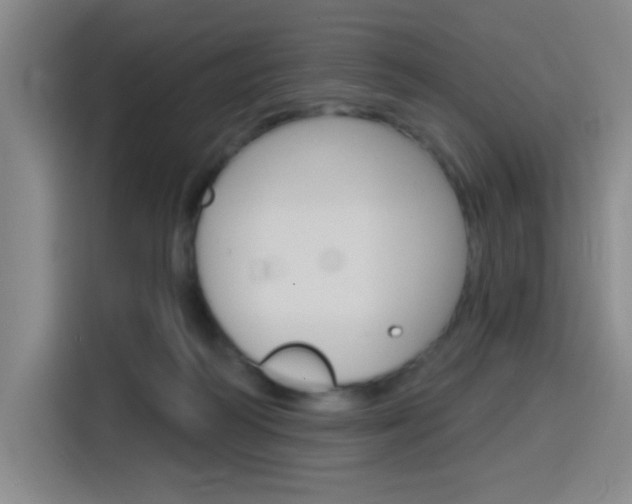 X0000116150218200911230958