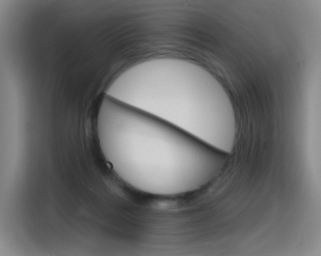 X0000116150220200911230958