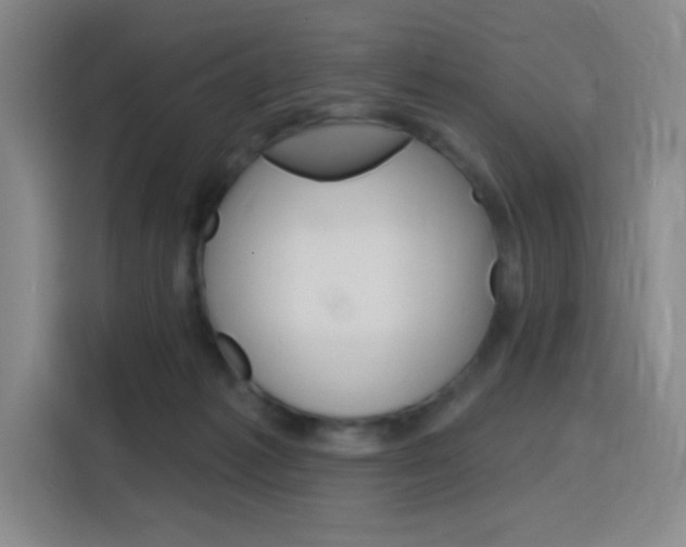 X0000116150221200911230958