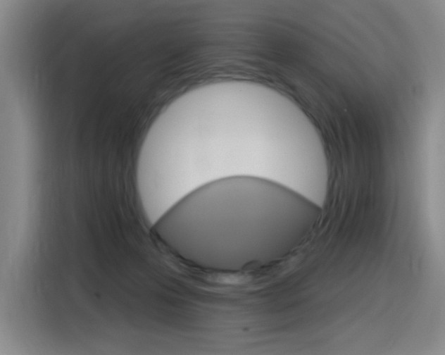 X0000116150223200911230958