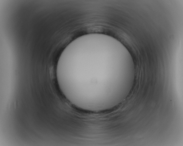 X0000116150224200911230958