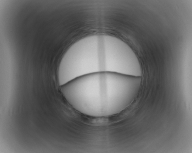 X0000116150225200911230958