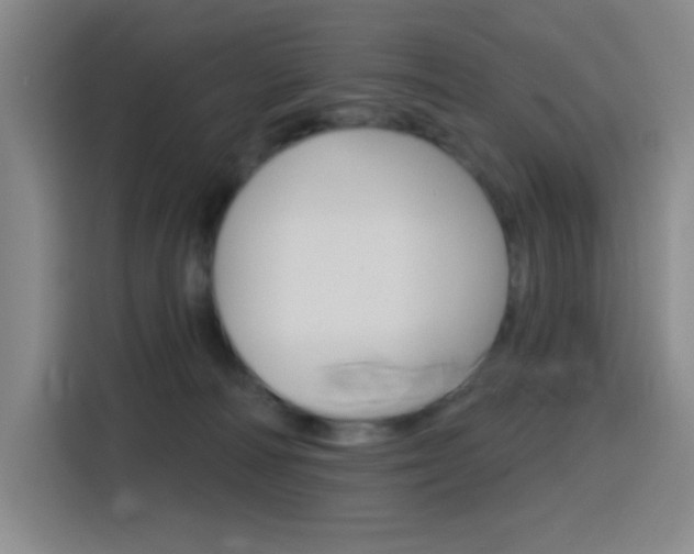 X0000116150226200911230958