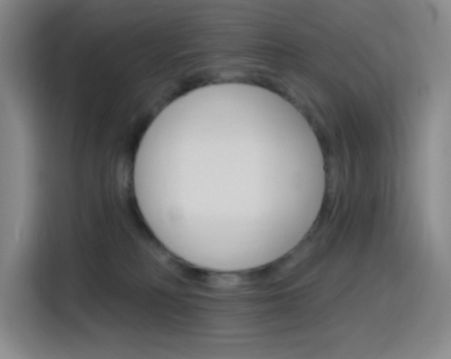 X0000116150230200911230958